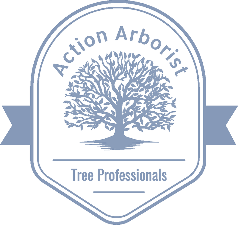 Action Arborist