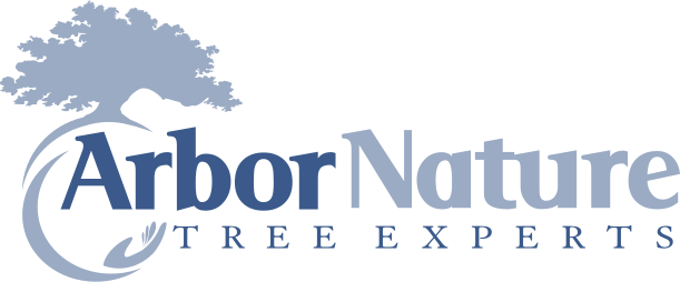 ArborNature Tree Experts