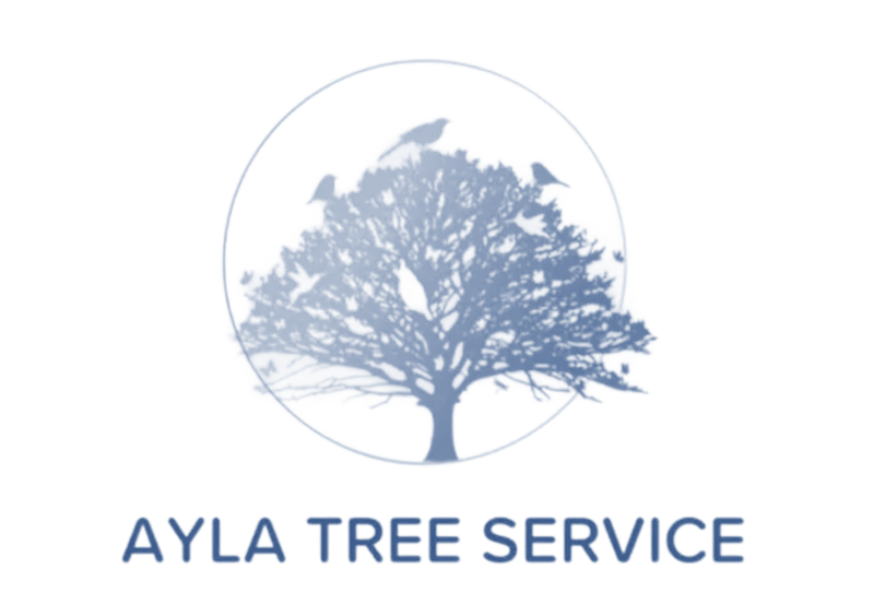 Ayla Tree Service LLC