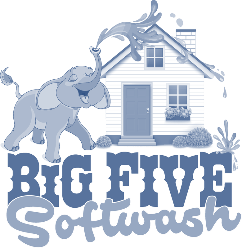 Big Five Softwash