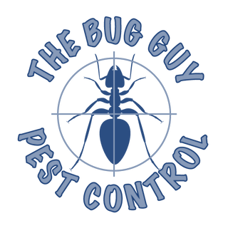 Bug Guy Pest Control