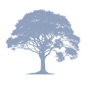 Oak Forest Plumbing