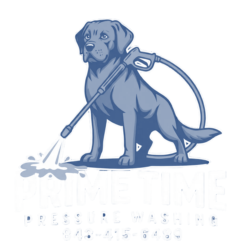 Prime Time Pressure Washing