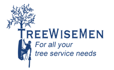 Treewisemen